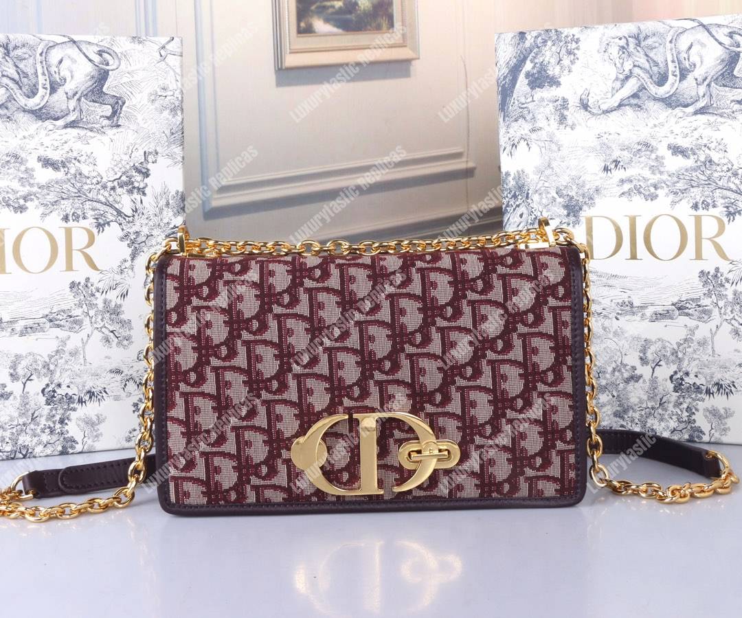 D*or 30 montaigne bag in burgundy oblique canvas