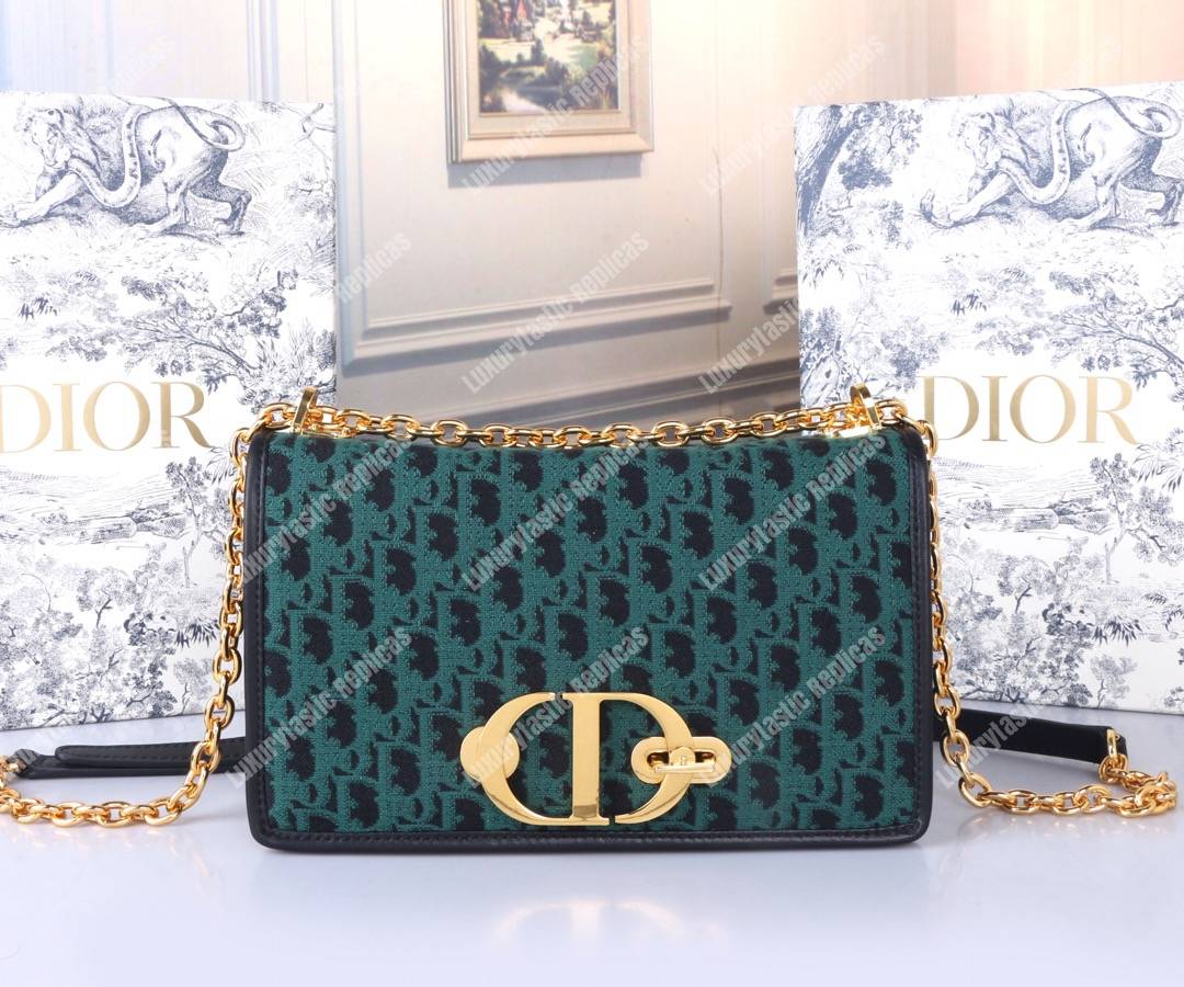 D*or 30 montaigne bag in green oblique canvas